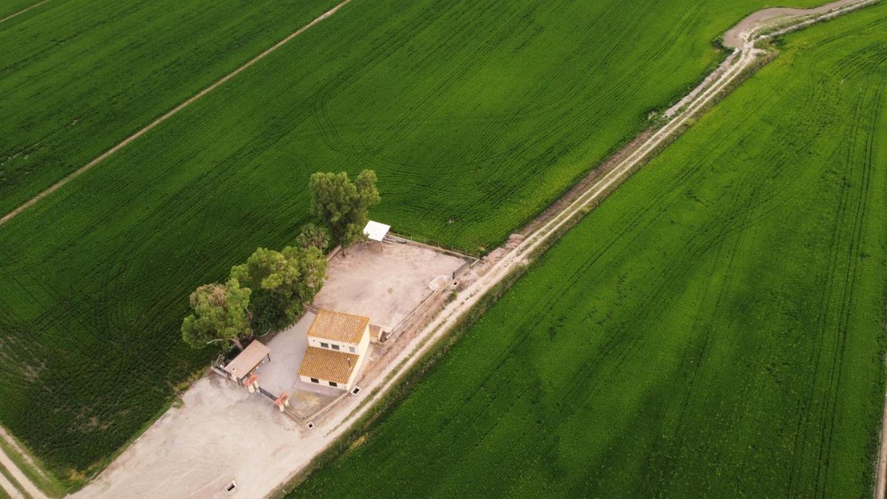 Lo Maset De Laura Villa Amposta Exteriör bild